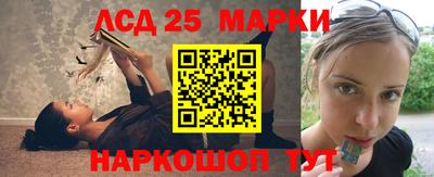 стафф Новодвинск