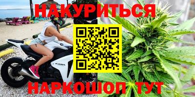 стафф Новодвинск