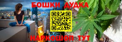 дмт Новокубанск