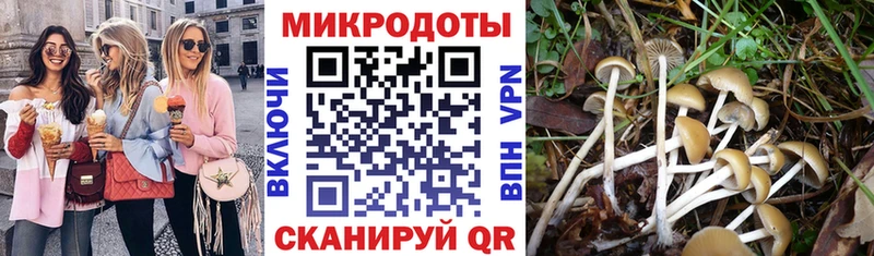 закладки  kraken ONION  Псилоцибиновые грибы GOLDEN TEACHER  Торжок 