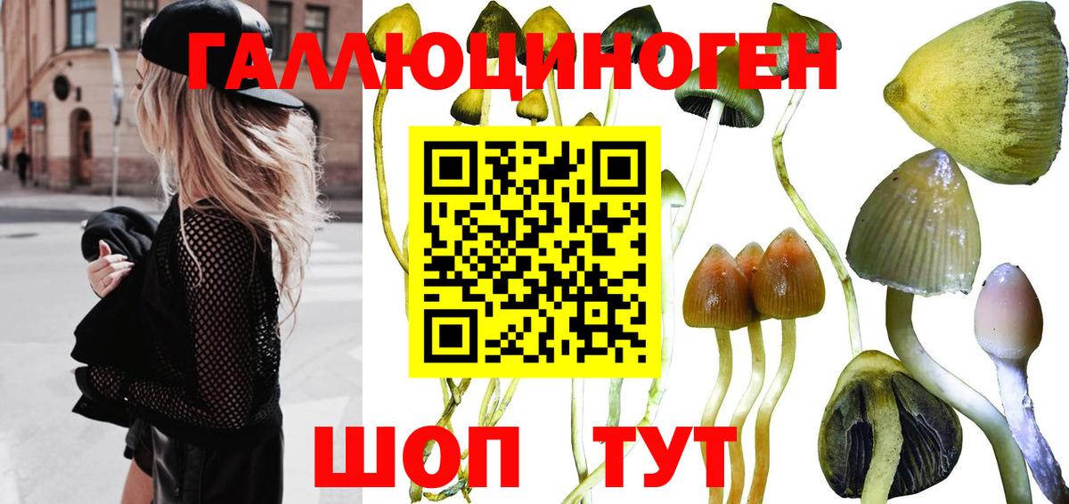 Галлюциногенные грибы Magic Shrooms Торжок